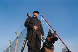 agent et chien
